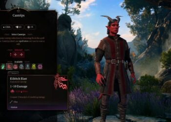 1. Level 1 15 1600x728.jpg