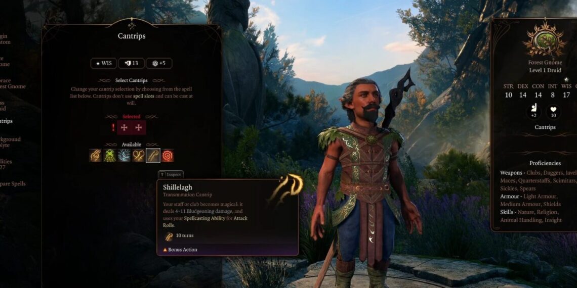 1. Level 1 16 1600x735.jpg