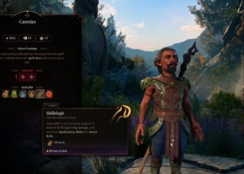 1. Level 1 16 1600x735.jpg