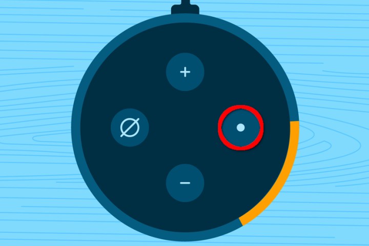 Amazon Echo Action Button