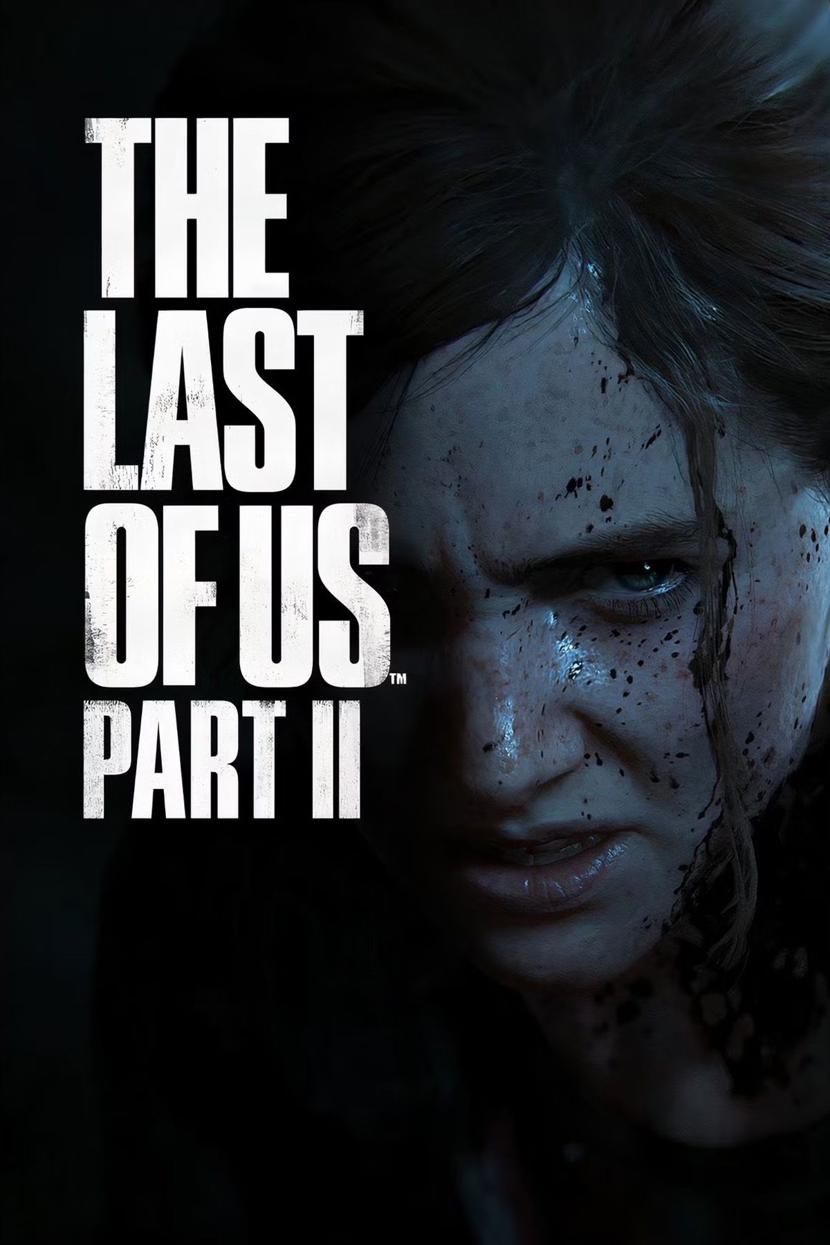 The Last of Us Part 2 Cover Art.