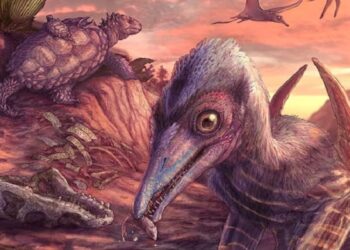 Ancient Flying Reptile Discovered in Arizona A North American First.jpg