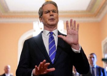 Bessent: Musk Should Avoid Political Involvement