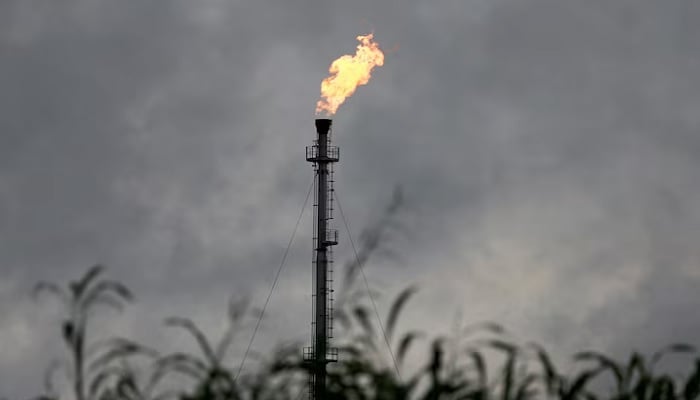 A vertical gas flaring furnace in Ughelli, Delta State, Nigeria, September 16, 2020. —Reuters