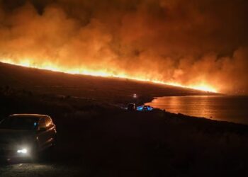 Central Turkey Wildfire Claims 10 Lives, Injures 14: Minister