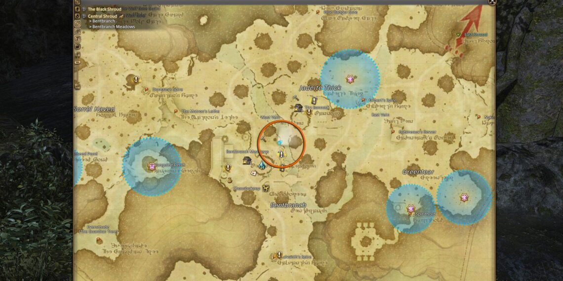 Completing the Chirurgeon Challenge for Minimog in FFXIV