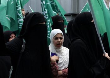 Erdogan Labels Offensive Cartoons as 'Despicable Provocation'