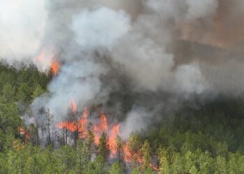 Firefighters Fight Wildfires Across Turkey, Greece, and Albania