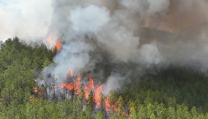 Firefighters Fight Wildfires Across Turkey, Greece, and Albania