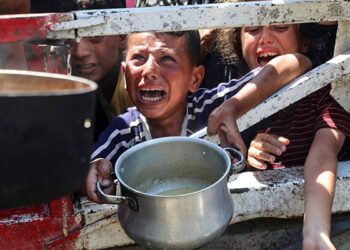 Gaza Faces Devastation: Starvation Threats Surpass Weapon Casualties