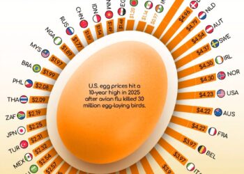Global Egg Prices in 2025 Per Dozen  

1.  Switzerland - $7.31
2.  Denmark - $4.