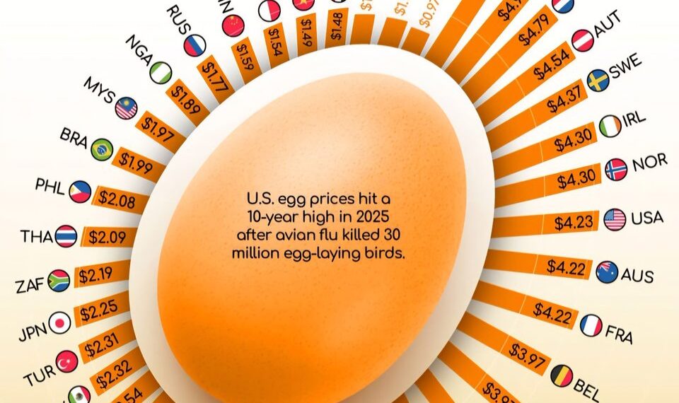 Global Egg Prices in 2025 Per Dozen  

1.  Switzerland - $7.31
2.  Denmark - $4.