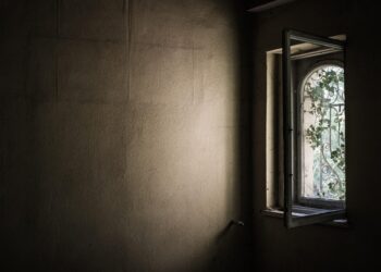 Windows 11 start search