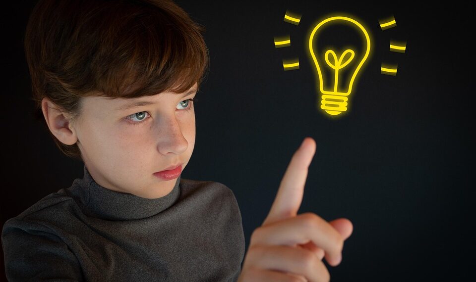 TP-Link ethernet switch