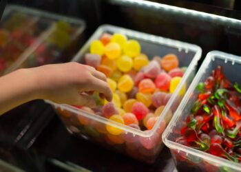 TP-Link ethernet switch