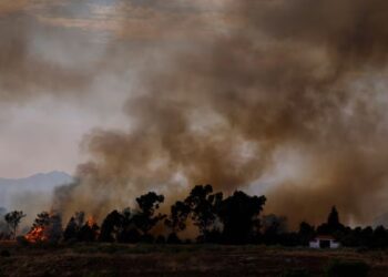 ICJ Declares Climate Change an Existential Threat in Landmark Ruling