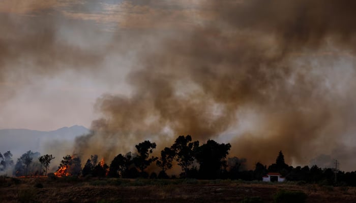 ICJ Declares Climate Change an Existential Threat in Landmark Ruling