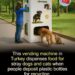 In Istanbul, Turkey, a company called Pugedon developed a vending machine that d