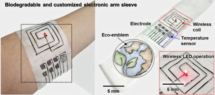 Image of a biodegradable arm sleeve