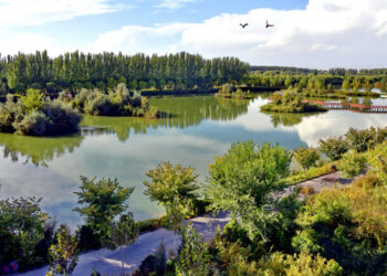 Nine Chinese Cities Earn International Wetland City Designation