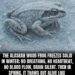 The Alaskan wood frog (Rana sylvatica) is a real-life resurrection champion: 

I