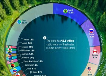 Top 20 Countries with Freshwater Reserves  

1.  Brazil – 13.2%
2.  Russia – 10.