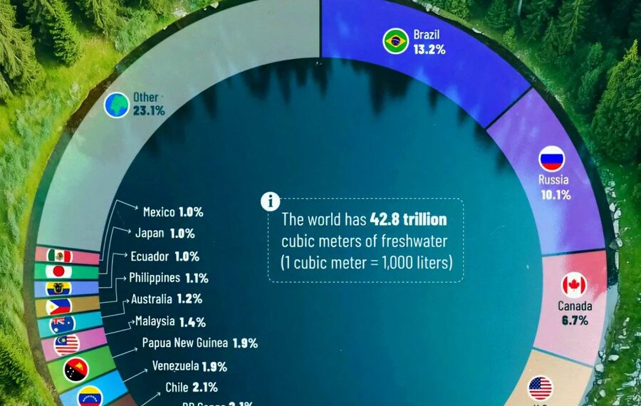 Top 20 Countries with Freshwater Reserves  

1.  Brazil – 13.2%
2.  Russia – 10.