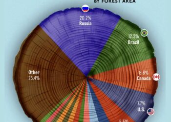 Countries by Forest Area Share in the World  

1.  Russia – 20.2%
2.  Brazil – 1