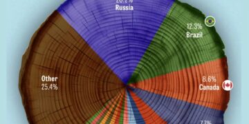 Countries by Forest Area Share in the World  

1.  Russia – 20.2%
2.  Brazil – 1