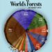 Countries by Forest Area Share in the World
1. Russia – 20.2%
2. Brazil – 1