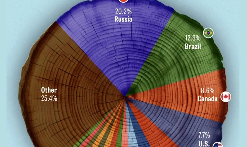 Countries by Forest Area Share in the World  

1.  Russia – 20.2%
2.  Brazil – 1