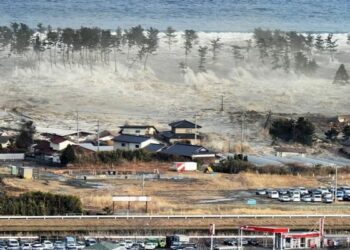 Tsunami Facts: Key Details and Damage Impact