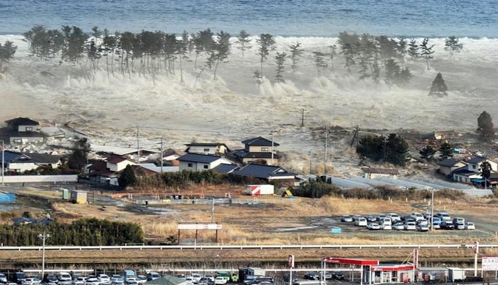Tsunami Facts: Key Details and Damage Impact