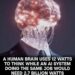 Since birth, your brain has quietly run on just 12 watts-less than a lightbulb--
