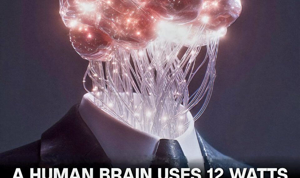 Since birth, your brain has quietly run on just 12 watts-less than a lightbulb--