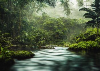 ai generated 7516300 960 720.jpg