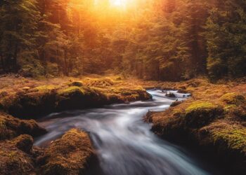 ai generated 7516312 960 720.jpg