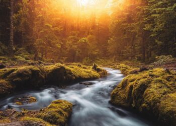 ai generated 7516315 960 720.jpg