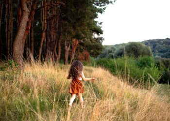 ai generated 8263092 960 720.jpg