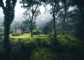 castle 7459765 960 720.jpg