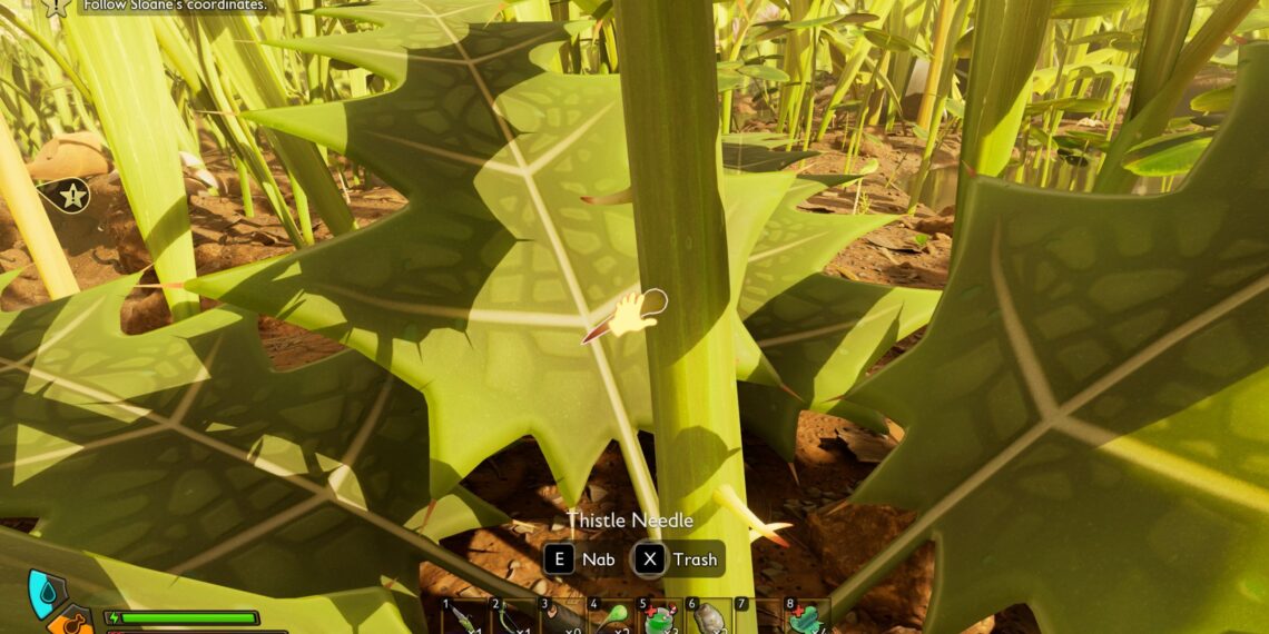 Where To Find Thistle Needles While Completing Grounded 2
