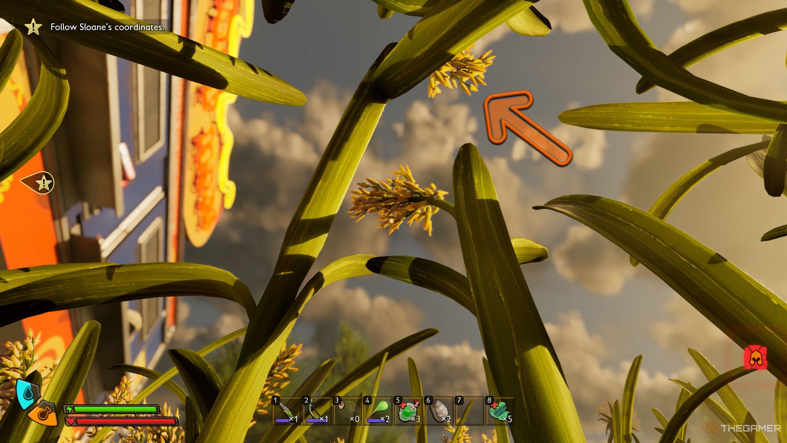 Where to Find Grass Seeds While Completing Grounded 2