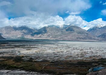 hunder 9303146 960 720.jpg