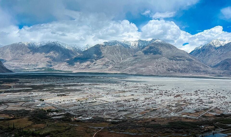 hunder 9303146 960 720.jpg