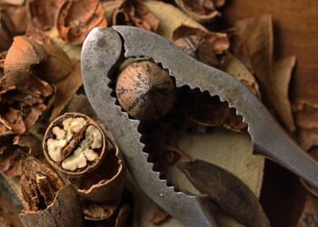 Top 50 Fascinating Facts About Sex 

1. The clitoris has 8,000 nerve endings 
2.