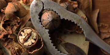 Top 50 Fascinating Facts About Sex 

1. The clitoris has 8,000 nerve endings 
2.