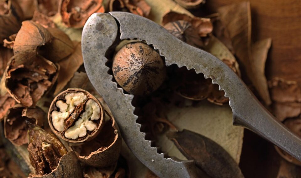 Top 50 Fascinating Facts About Sex 

1. The clitoris has 8,000 nerve endings 
2.