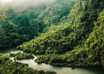 river 7500096 960 720.jpg