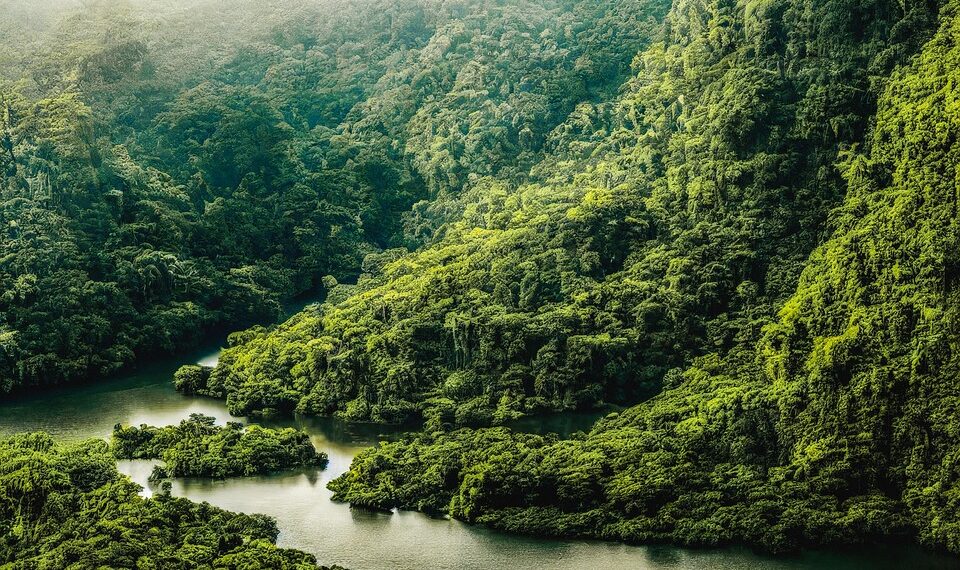 river 7500096 960 720.jpg