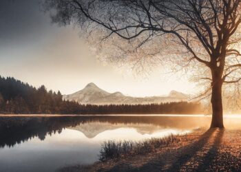 tree 7500100 960 720.jpg